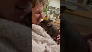 Joyful Orphaned Wombat's Delightful Cuddles