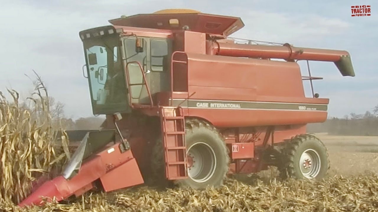 CASE IH 1660 Axial-Flow Combine Harvesting Corn