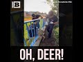 Oh, Deer! Orange County Fire Department Rescues Deer on Easter