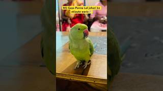 Panna Lal johari ka eklauta waris💸😝🦜#pannalal #funnyshorts #youtubeshorts #viral