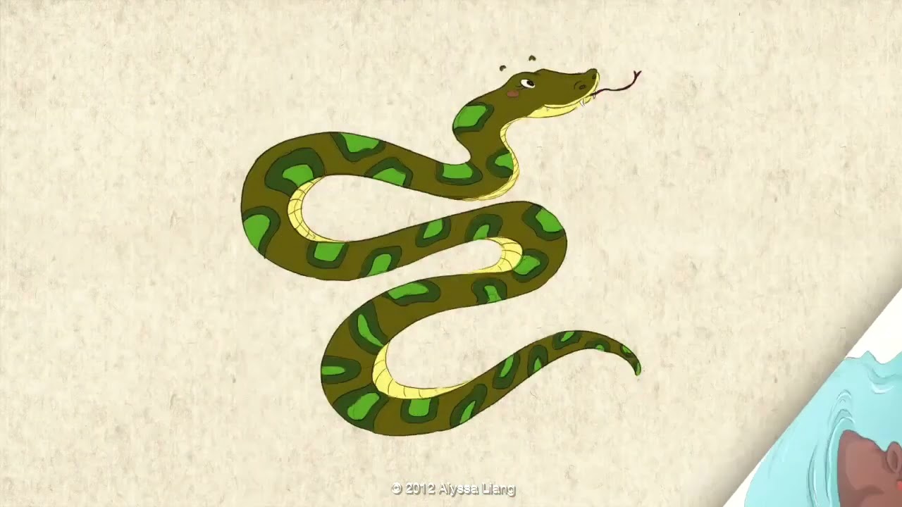 Welcome To The Zoo  by Alyssa Liang