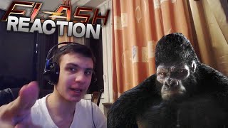 Reaction | 7 серия 2 сезона "The Flash/Флэш" Reaction | 7 серия 2 сезона "The Flash/Флэш"