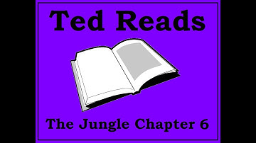 The Jungle Upton Sinclair Chapter 6