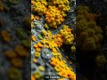 A New World Is Emerging Beneath Melting Scandinavian Glaciers