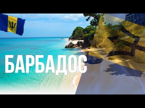 Video: Angrešt Barbados