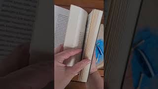 Buchrezension Death At Morning House Von Maureen Johnson