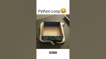 Python Loop #shorts  #meme #memes #memesdaily #laugh #funny #funnymemes #funnyshorts #comedy