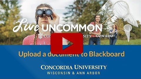 Submit Assignment Blackboard CUWAA