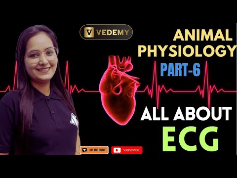 All about ECG | Circulatory System | Animal Physiology | Part-6 | Dr ...