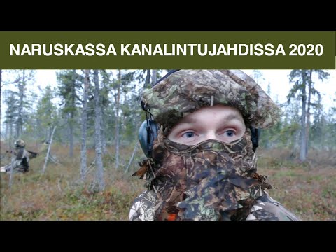 Video: Metsästyslisenssin Saaminen Vuonna