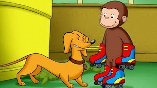 George e Hundley🐵 Melhores Momentos Juntos🐵 Desenhos Animados em Portuguê