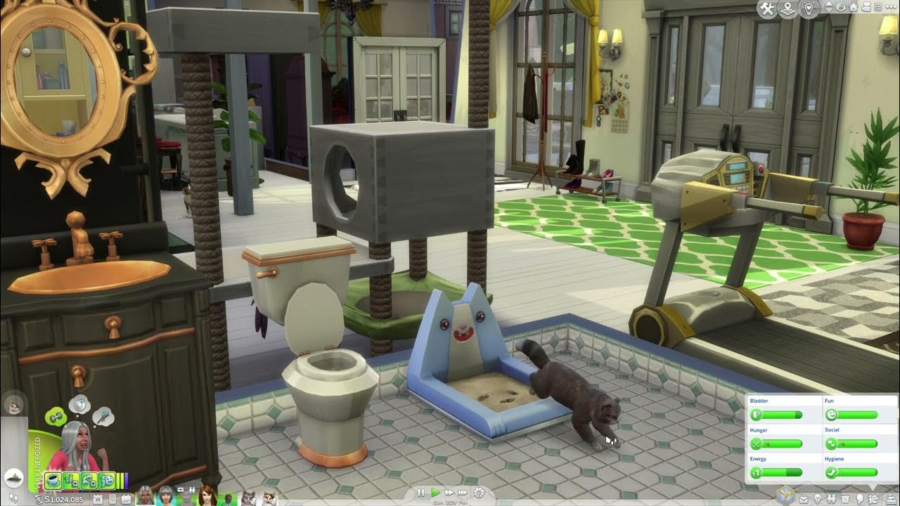 The Sims 4 Cats & Dogs Cat litter box with lasers YouTube