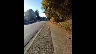 Momentos Destacados De Canada Dream 21 Está En Vivo Desde White Rock 630 - 1130