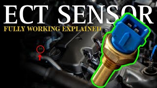 Complete Details About Engine Coolant Temperature Sensor (ECT) | P0115 | P0116 | P0117  P0118  P0119