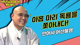 아홉 마리의 독룡을 쫓아낸 사람? [자현스님의 붓다로드 248회]