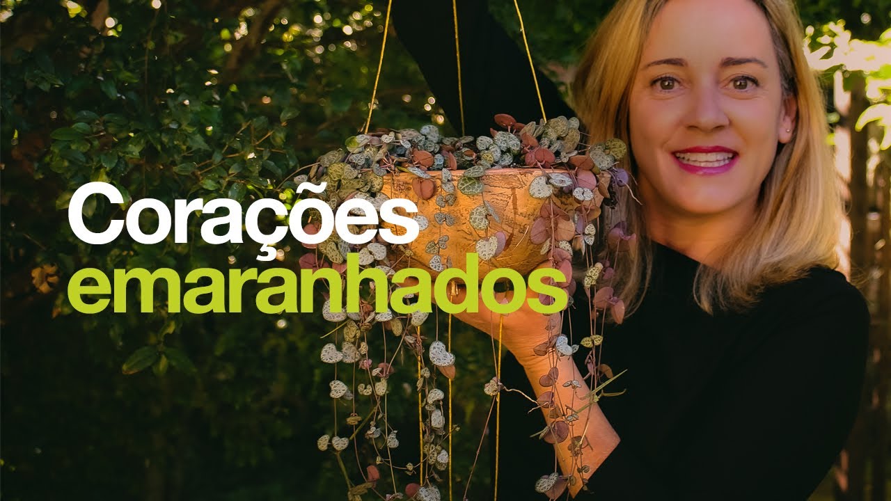 Como PLANTAR e fazer MUDAS de CORAÇÕES EMARANHADOS