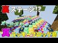 【マインクラフト】裏ステージ突入!?真オールスターラッキーブロック島に2人で挑む!!