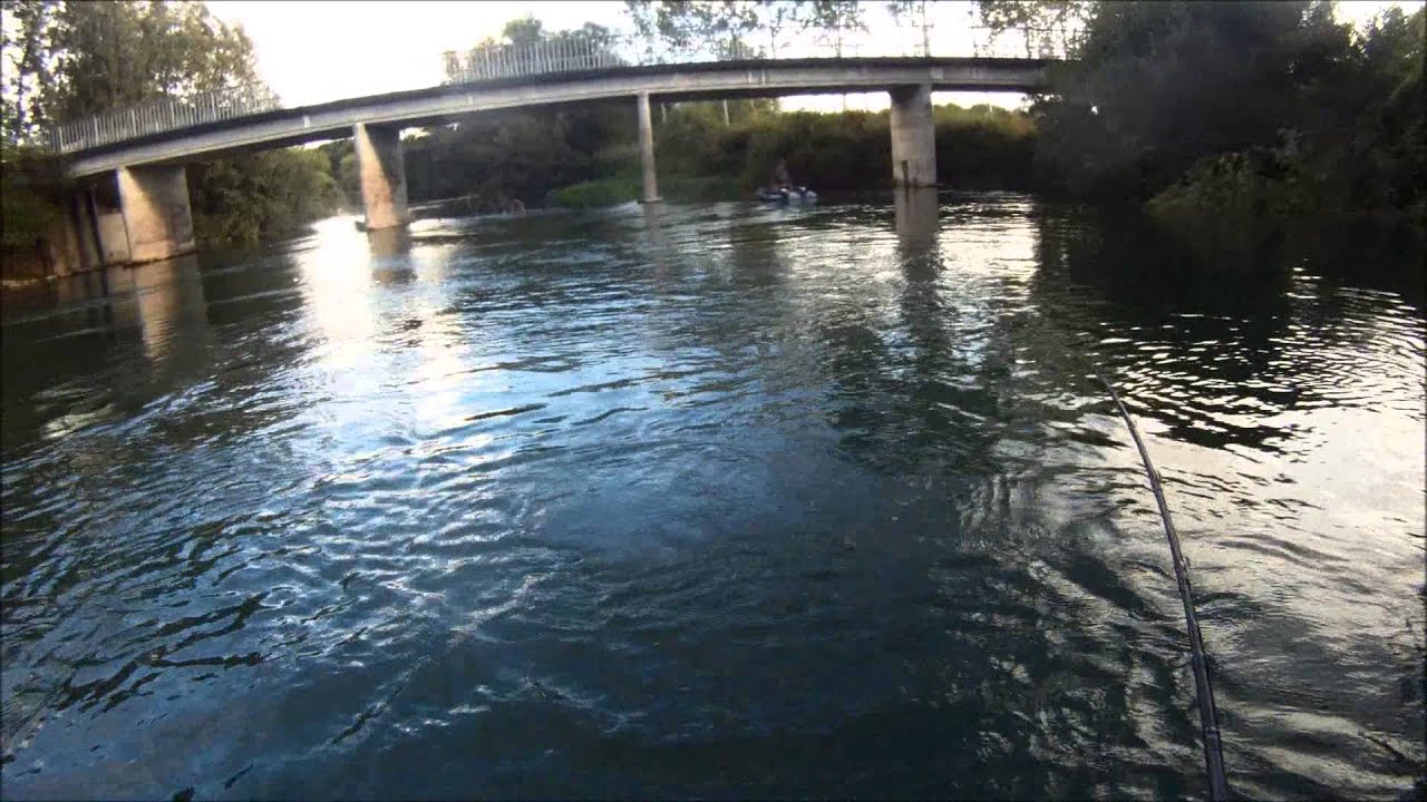 Highsider Slow Sink x Huge Custom 6'4"