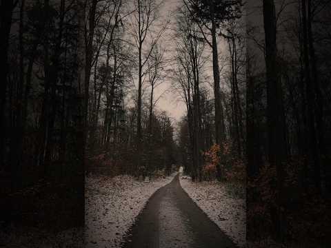 إلى اين يا قلبي قصيدة دمعة وفاء للدكتور الشيخ احمد الوائلي رحمه الله اشترك بالقناة