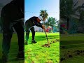 Garden Maintanence Riyadh Ksa#viral# like #support