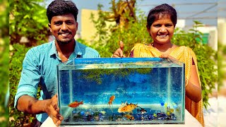 How to Make Fish Tank using Glass 🐠 | கண்ணாடி மீன் தொட்டி செய்யலாம் வாங்க! 🐟| Vijay Ideas