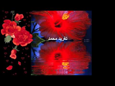 محمد النصري النسائم تغريد محمد