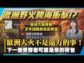 歐洲大火不是遠方的事！橄欖油、葡萄酒、糧食恐掀全球漲價潮｜#寰宇新聞