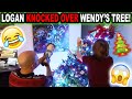 LOGAN KNOCKED OVER WENDY&#39;S TREE!