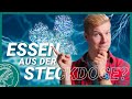 Meilenstein für nachhaltige, klimaneutrale Wirtschaft | Wissen Was News -English subtitles available