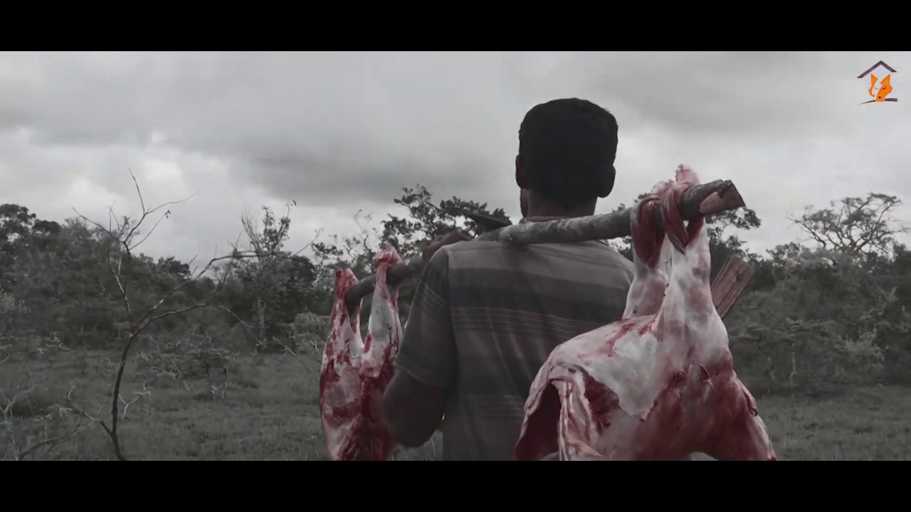 The Last Hunting Lion | Hunter Lifestyles | Hunter Community | Documentary