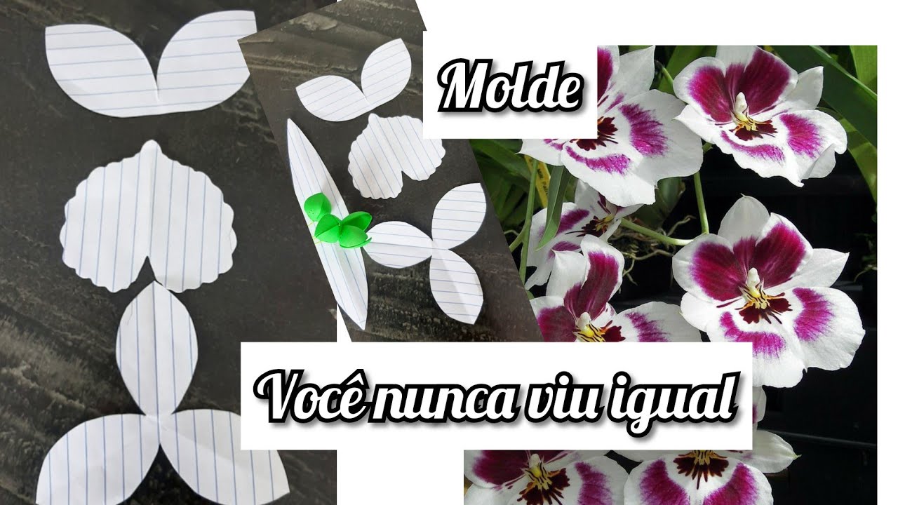 como fazer o molde da orquídea Miltonia, #moldeorquidea.