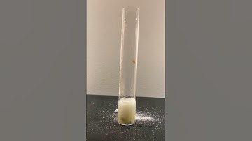 How to Remove Stains on Clothes | creative explained