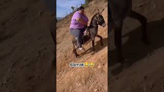 Kudanya Sdanai Gak Kuat Nahan Beban