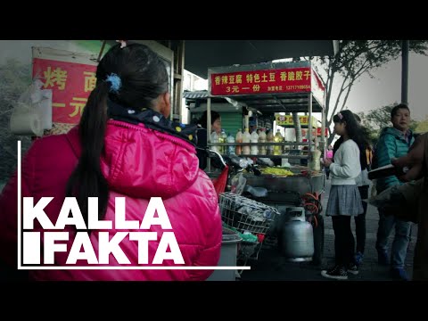 Kalla Fakta: Bakom fabriksgrindarna (Behind the Factory Gates | With English subtitles) - TV4