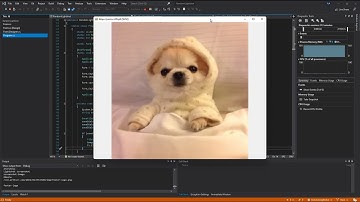 Random Lightshot (Open Source C# Random Screenshot Finder)