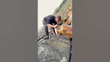 This Soft Shale HIDES A Fossil! Fossil Hunting On A Pebble Beach 🤯