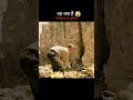 #but for hand 👌#new movie and silver gold#please #1subscribe