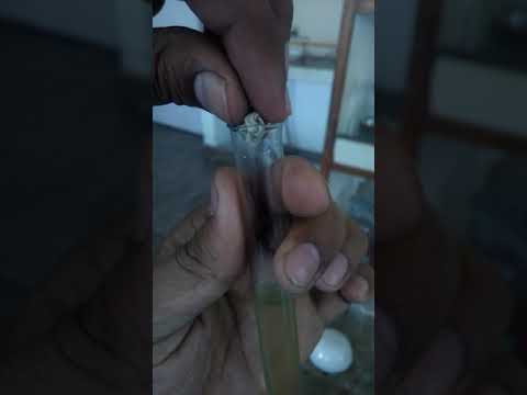 Piranha Solution