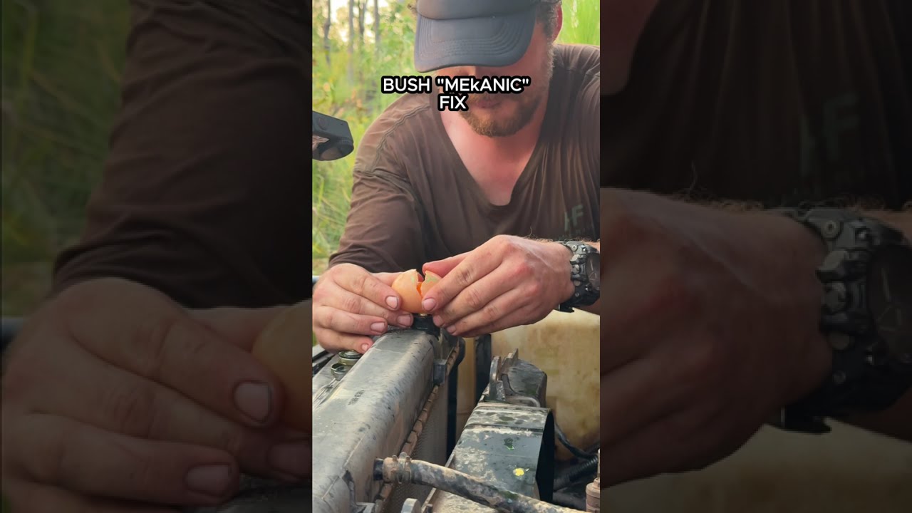 Can an egg fix a leaking radiator? 🥚😳