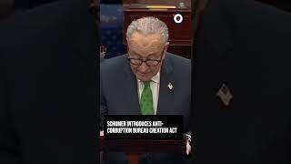 Schumer introduces Anti-Corruption Bureau Creation Act