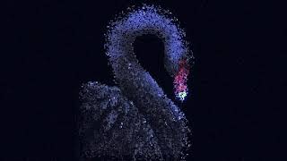 Image to point