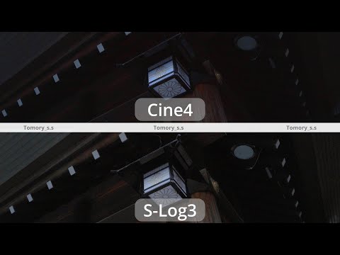 Sony ZV-E10 - S-log3 vs Cine4  Footage
