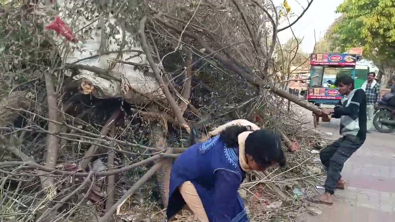 Burning of chemical scarp in holi generate  air, water and soil pollution- suchetahambir singh