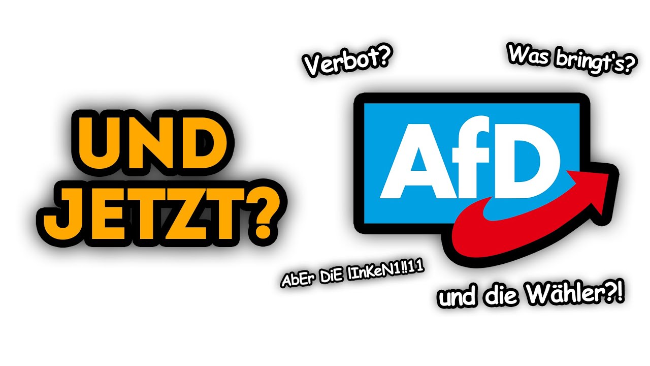 Was passiert jetzt mit der AfD?