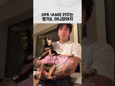 이 영상을 로리가 싫어합니다