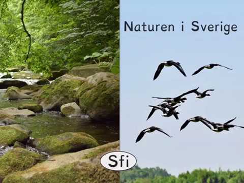 Video: Vad är Naturen