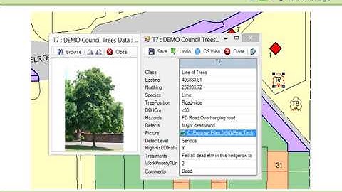 Pear Arb. Software showcase