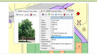 Pear Arb. Software showcase