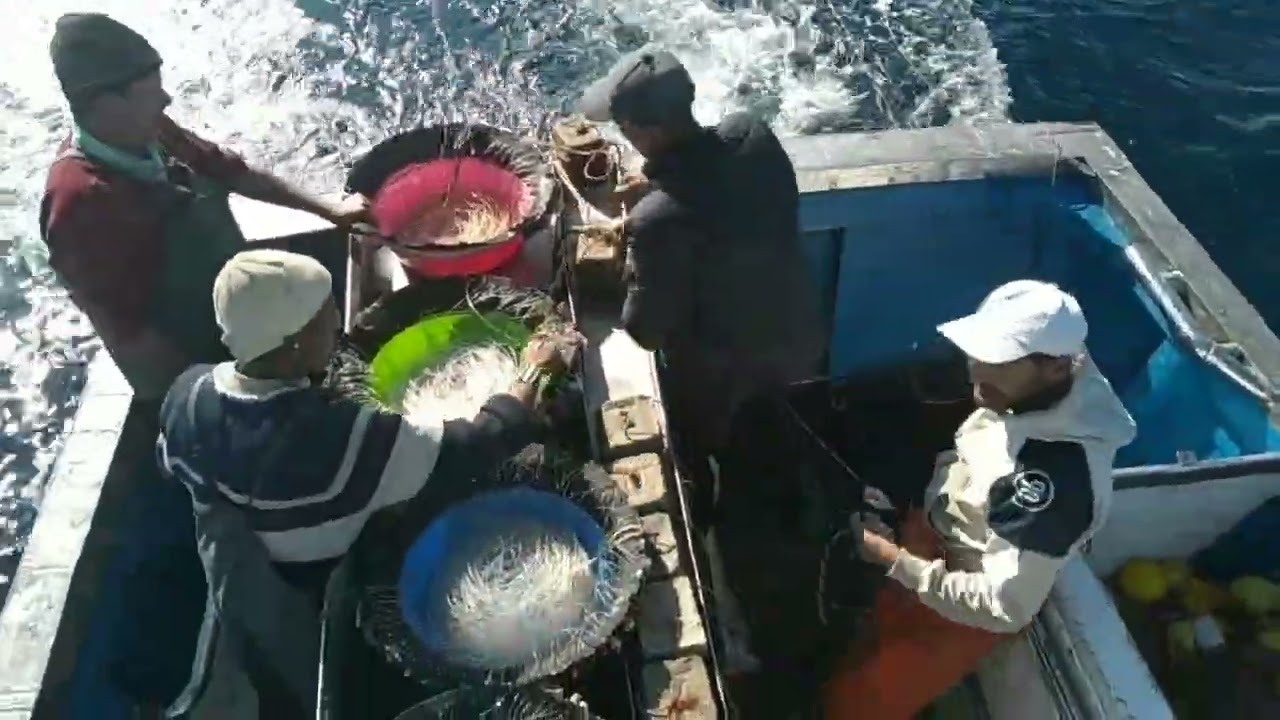 #طريقة #نصب بلانكري صيد أسماك المركب طنجة #Method #Blanqueri Monument for Boat Fishing in Tangier