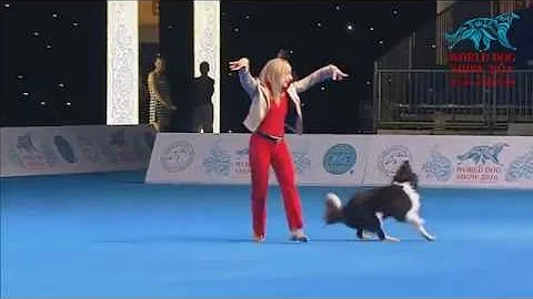 FCI Dog dance World Championship 2016  Winner freestyle - Yvonne Belin and Alice (Switzerland)